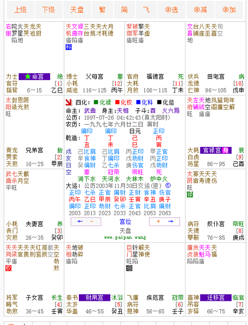 紫微斗数在线排盘详解,紫微斗数免费排盘详解图4