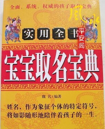 宝宝取名字典免费,起名字男孩202免费起名我有一儿一女是姐弟图1