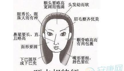 女人极贵的面相和体相,女人最富贵的5种体相图片图2