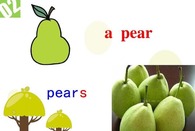 pear是什么意思