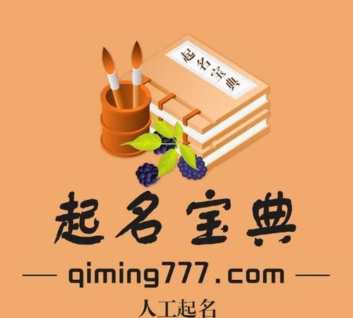 名典取名网23,舒姓男孩取名属虎图3