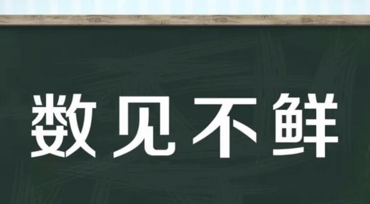 数见不鲜怎么念,数见不鲜的读音是什么图4