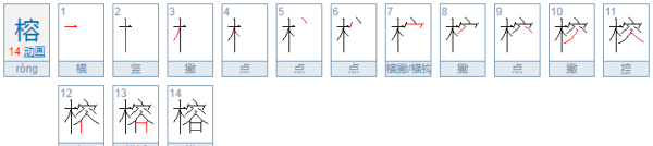 榕组词,榕字能组什么词语图1