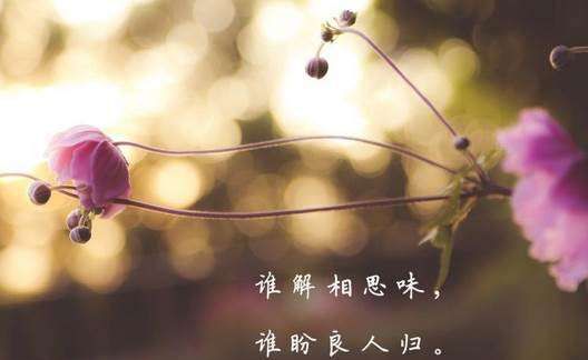 个签短句干净治愈八个字,个签短句干净治愈八个字图3