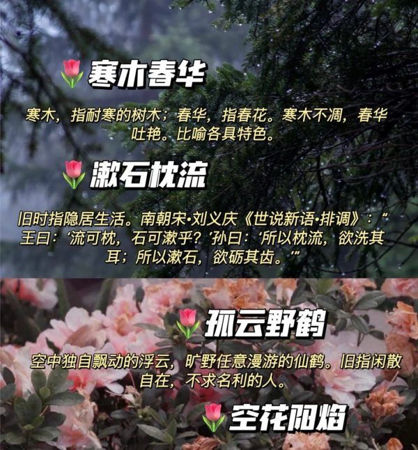 很小众却很惊艳的成语,有哪些冷门但很有意境的成语故事图4