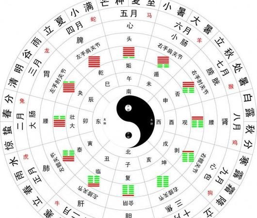 怎样用周易八卦算命,周易算卦怎么算八字图3