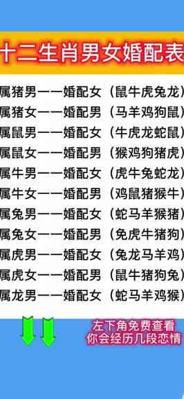 婚配属相表大全,12属相婚配表十二生肖图4