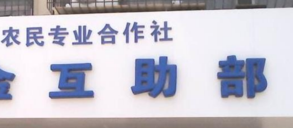 合作社名字大全集,农业合作社响亮的名字带农的合作社图1