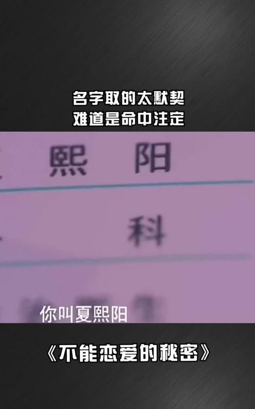 原来两人姓名早已注定,名字配对测试两人姻缘真假准确呢图3