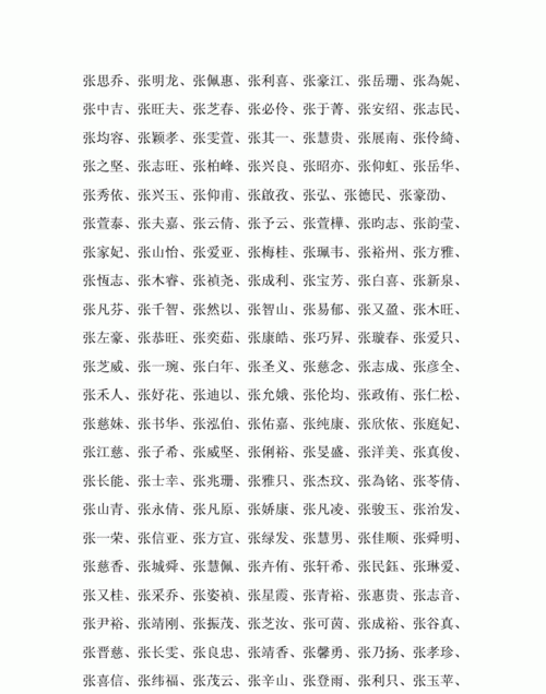 张姓有诗意的男孩名字,张姓男孩100分名字有哪些图4