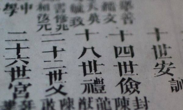 现代家谱范本的内容,自己家的家谱怎么写格式图1