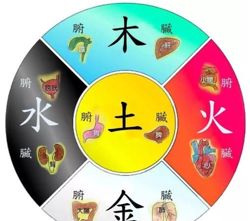 金木水火土谁最穷,金木水火土中谁最火图2