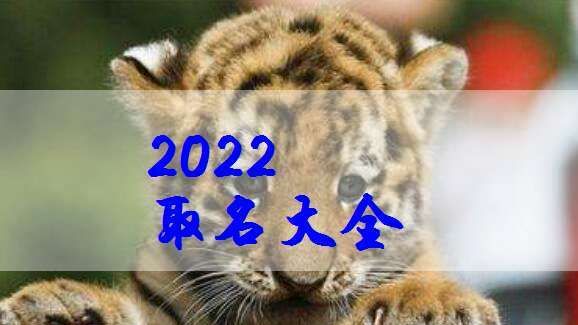 吕姓女孩起名属虎,给宝宝取名字2022年属虎女孩小名图2