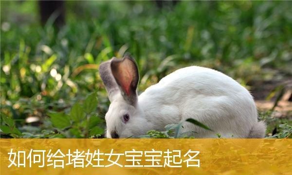 给刚出生的婴儿起个名字,给刚出生的小孩起名字图2