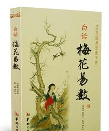 梅花易数一字测字占卜,梅花易数全文在线阅读图3