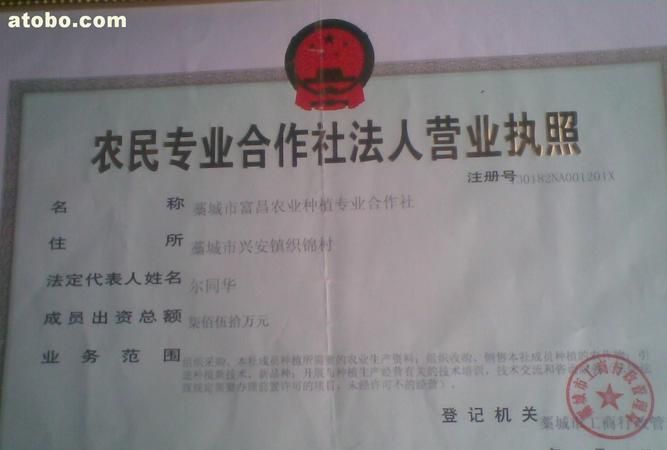 农民专业合作社起名,农业合作社名称大全简单大气图3