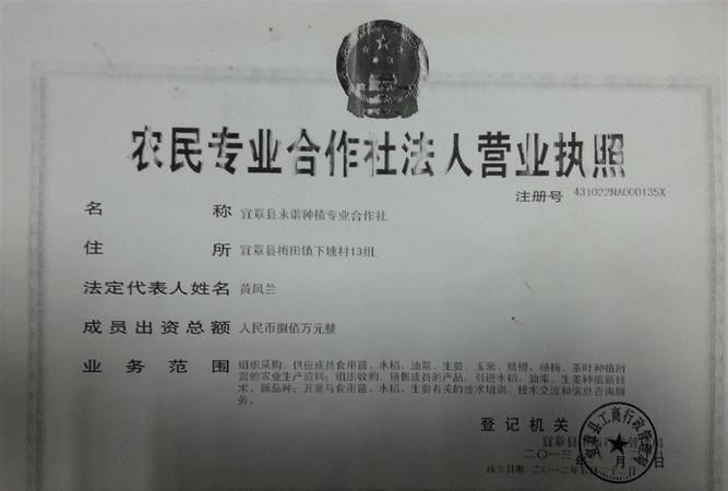 农民专业合作社起名,农业合作社名称大全简单大气图4