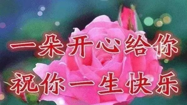 四个字美好祝愿,四个字的生日祝福语图3