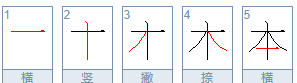 本的笔顺 正确,本的笔顺是什么怎么写图3