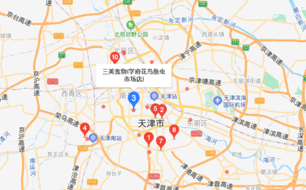 宠物用品批发市场,广州宠物批发市场在哪里图5