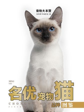 宠物猫的品种大全,常见猫咪品种大全及图片图1