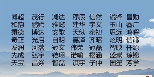 宇字取名男孩名字大全,男孩的名字响亮寓意好的单字图4