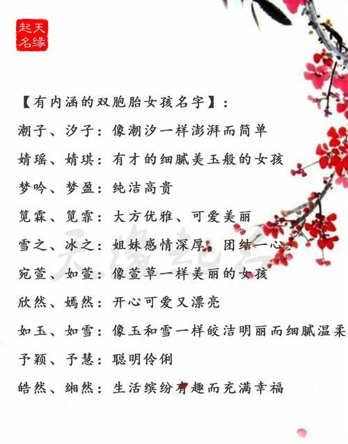 成语拆开给双胞胎取名,双胞胎乳名2020寓意好叠字名图2