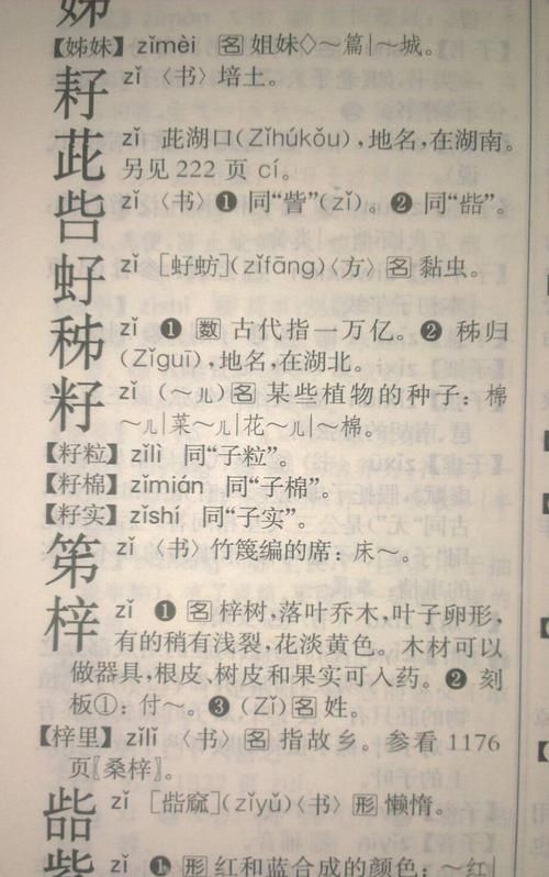 梓字用在名字里好不好,梓阳取名的寓意男孩图4