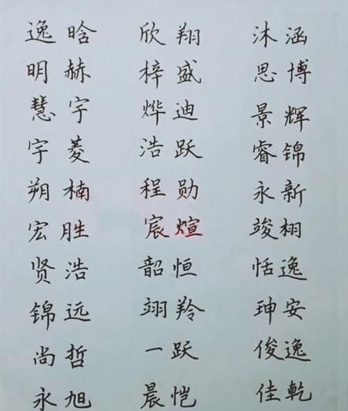 猪宝宝男孩名字,男孩名字简单大方洋气2021年图4