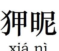 狎怎么读 拼音,銈字怎么读,如何解释?图1