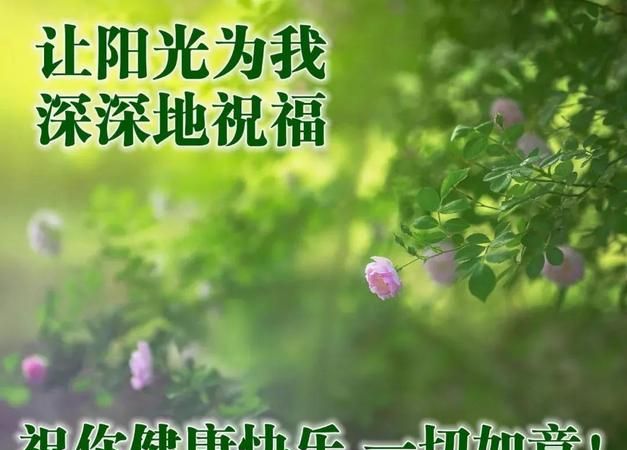 八个字暖心祝福,美好祝愿的简短句子八个字亲人图1