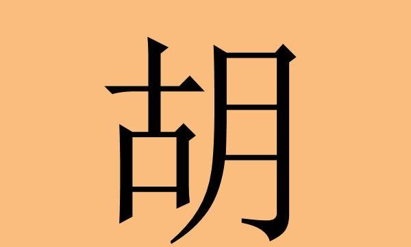 胡姓取名字大全男孩子,胡姓男孩取名字大全集图2