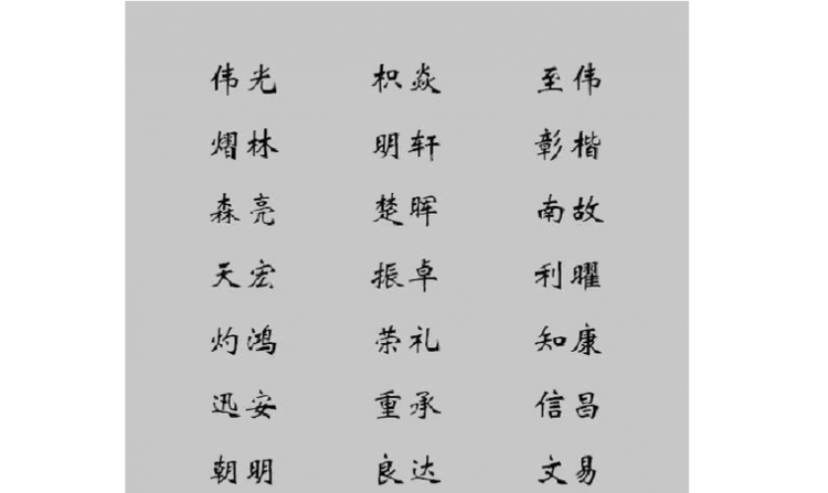 猪年男宝宝名字大全,属猪的起什么名字比较好男孩图2