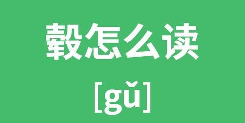 秀气的拼音,秀气解释是什么意思图2