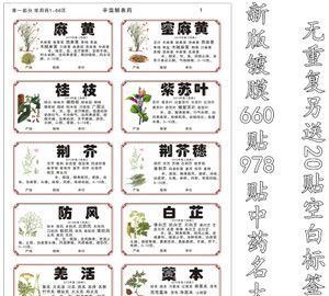 中药名称大全,草药名字大全 常见中草药名称列表图图4