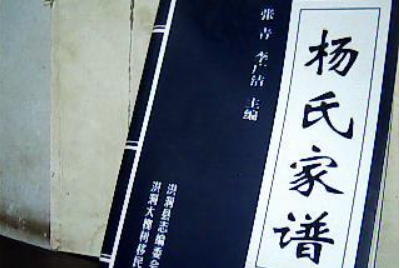 真正杨家将家谱,真正杨家将家谱二十个字是什么意思图2