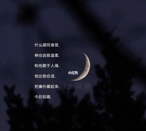 两个字伤感id,两字伤感ID看了心酸带符号图6