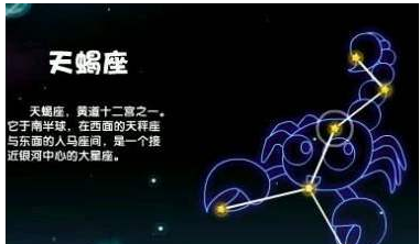 阴阳历转换查询星座,公历1月4日出生是什么星座图3