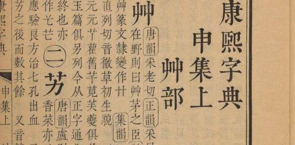 康熙字典取名专用免费,康熙字典里用于取名8笔画的字有哪些?图4