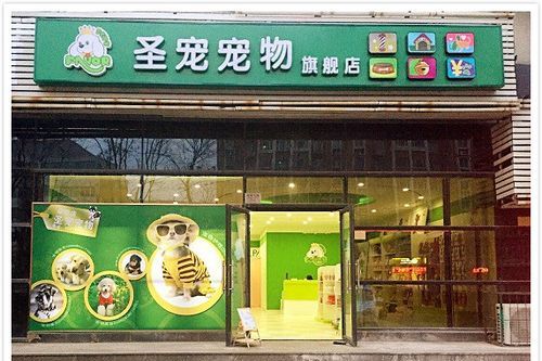 好听的宠物店名字,宠物店名字有创意图6