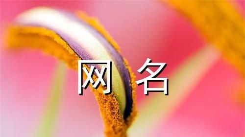 好听又吉利的微信名字,用什么微信名字运气好又吉利图1