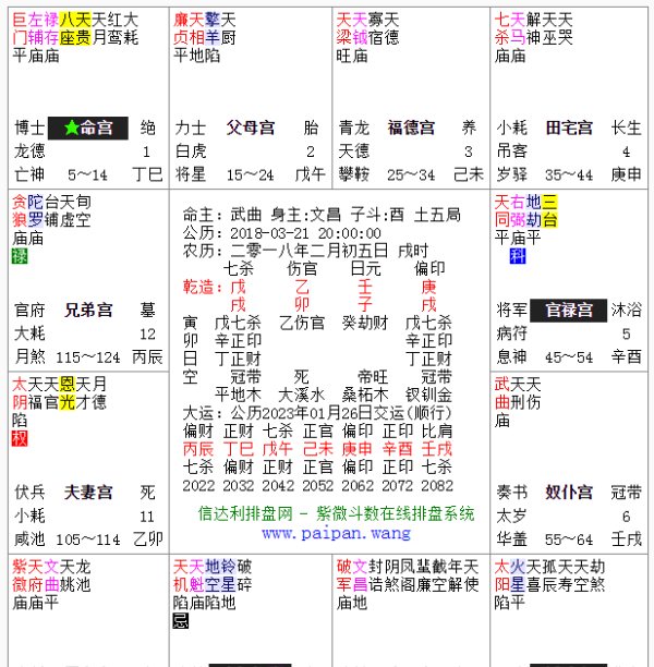 紫薇命盘准不准,八字算命紫薇图1