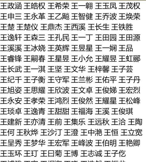 王姓男孩取什么名字好,姓王的名字大全男孩最好听图1