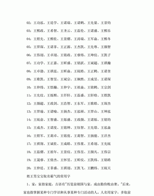 王姓男孩取什么名字好,姓王的名字大全男孩最好听图5