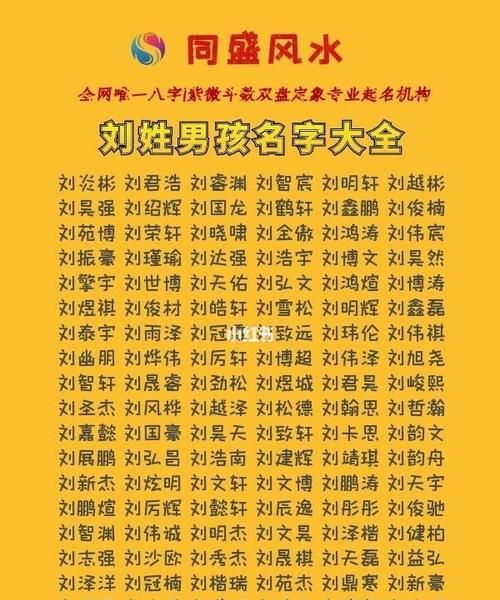 刘姓男孩鼠年名字大全,刘姓男孩起名字 姓刘的男孩名字图1