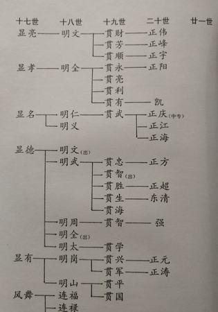 陈氏家谱金字辈下一辈是什么,陈氏家谱字辈图1