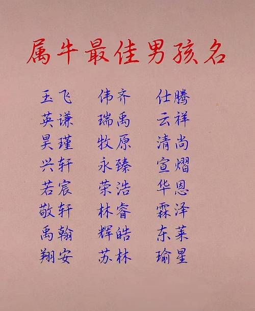 宝宝名字大全2013,宝宝个性名字大全男孩图2