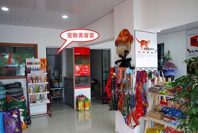 宠物用品店加盟,宠物加盟店哪个品牌比较好图9