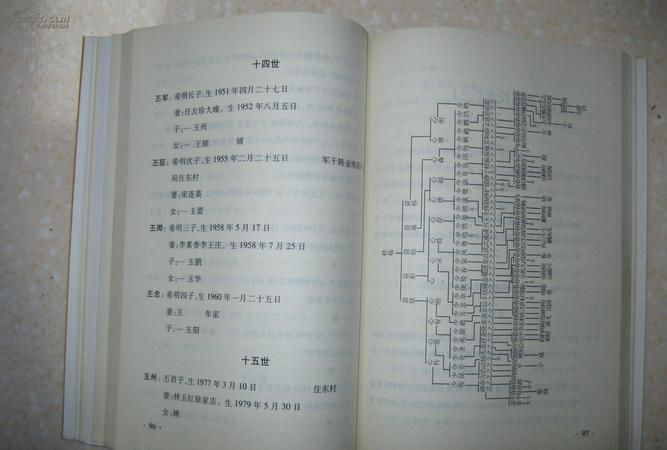 山东王氏族谱字辈大全殿字辈分,山东省汶上县王氏家谱的堂号图2