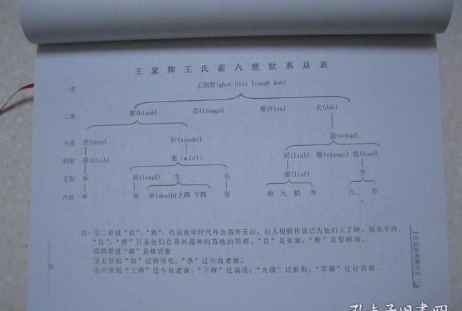 山东王氏族谱字辈大全殿字辈分,山东省汶上县王氏家谱的堂号图3